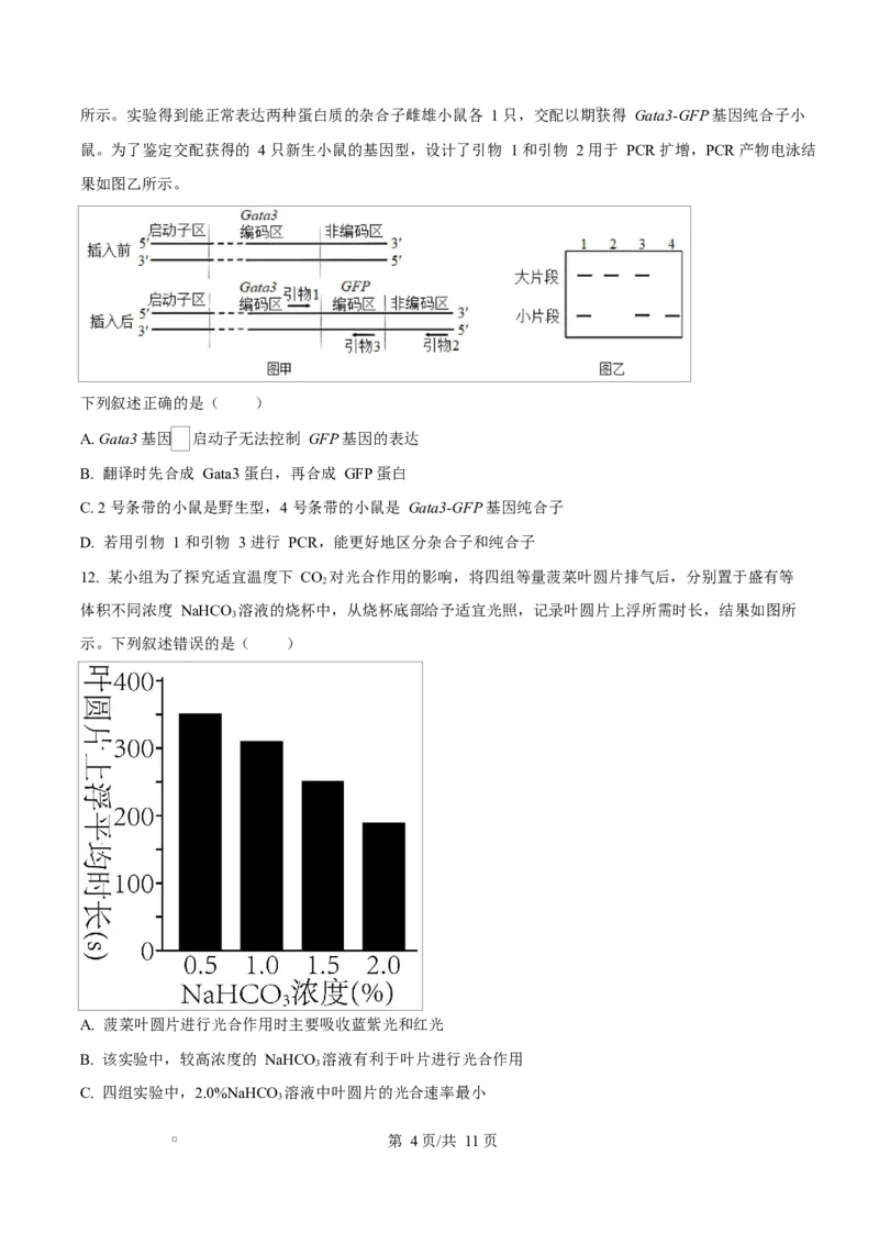 福建省厦门双十中学2026届高三（上）第一次月考+生物_2025年10月_251020福建省厦门双十中学2026届高三（上）第一次月考（全科）