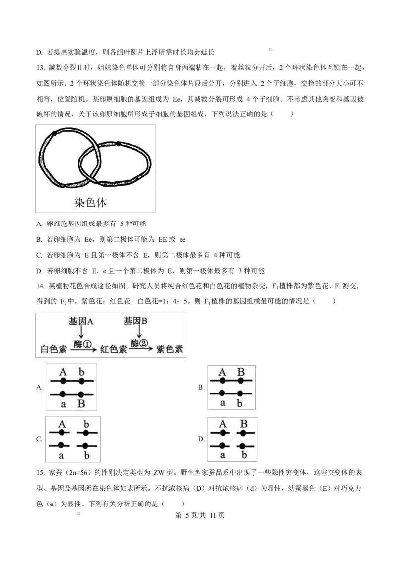 福建省厦门双十中学2026届高三（上）第一次月考+生物_2025年10月_251020福建省厦门双十中学2026届高三（上）第一次月考（全科）