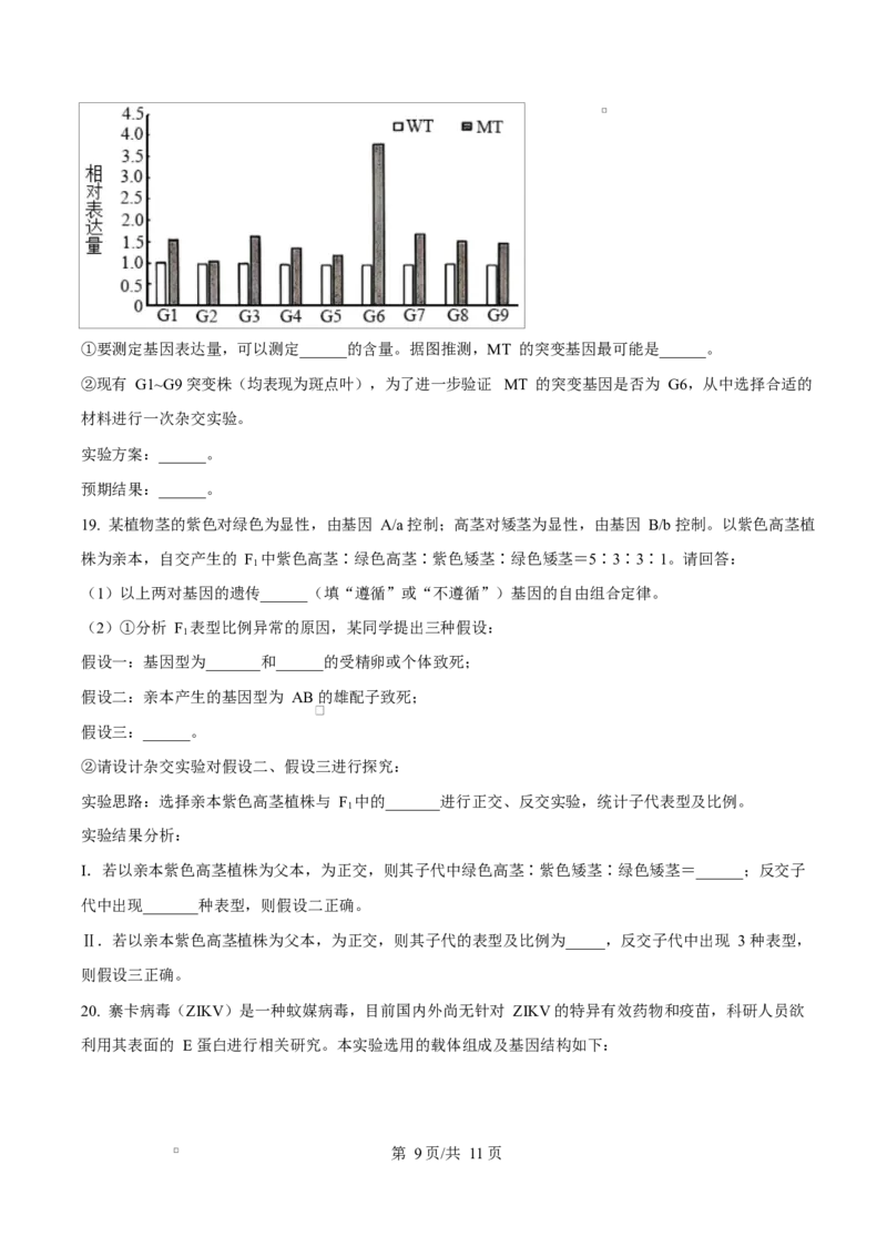 福建省厦门双十中学2026届高三（上）第一次月考+生物_2025年10月_251020福建省厦门双十中学2026届高三（上）第一次月考（全科）