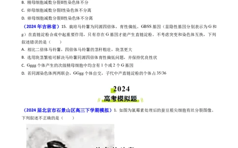 专题06细胞的增殖-2024年高考真题和模拟题生物分类汇编(学生卷）_近10年高考真题汇编（必刷）_十年（2014-2024）高考生物真题分项汇编（全国通用）