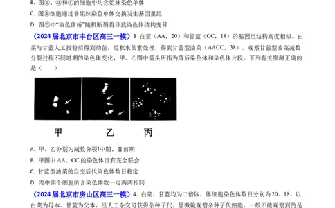 专题06细胞的增殖-2024年高考真题和模拟题生物分类汇编(学生卷）_近10年高考真题汇编（必刷）_十年（2014-2024）高考生物真题分项汇编（全国通用）