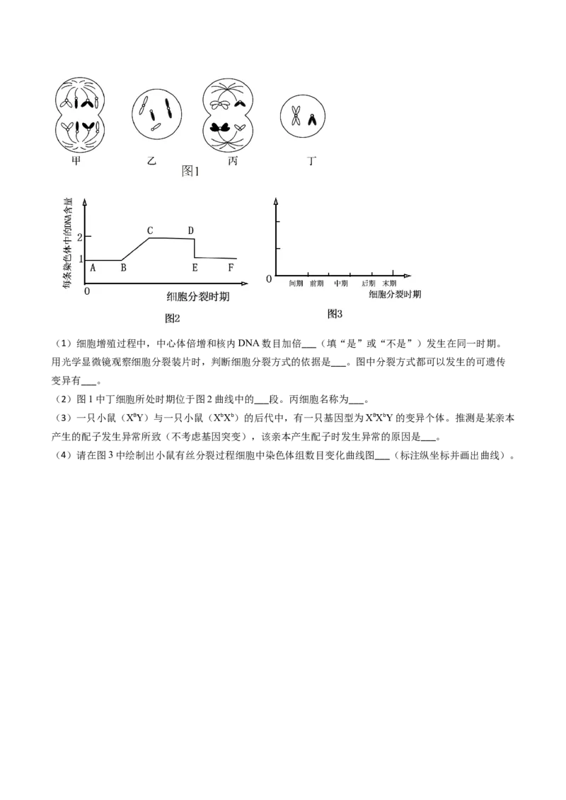 专题06细胞的增殖-2024年高考真题和模拟题生物分类汇编(学生卷）_近10年高考真题汇编（必刷）_十年（2014-2024）高考生物真题分项汇编（全国通用）