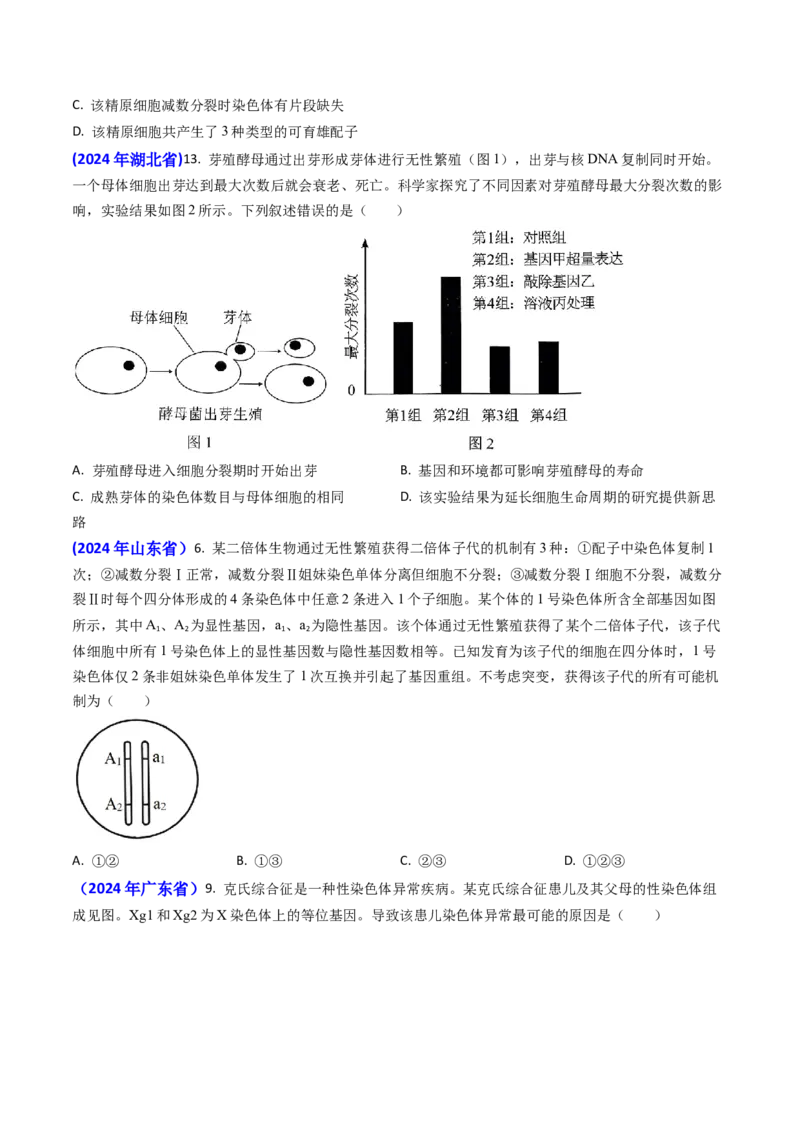 专题06细胞的增殖-2024年高考真题和模拟题生物分类汇编(学生卷）_近10年高考真题汇编（必刷）_十年（2014-2024）高考生物真题分项汇编（全国通用）