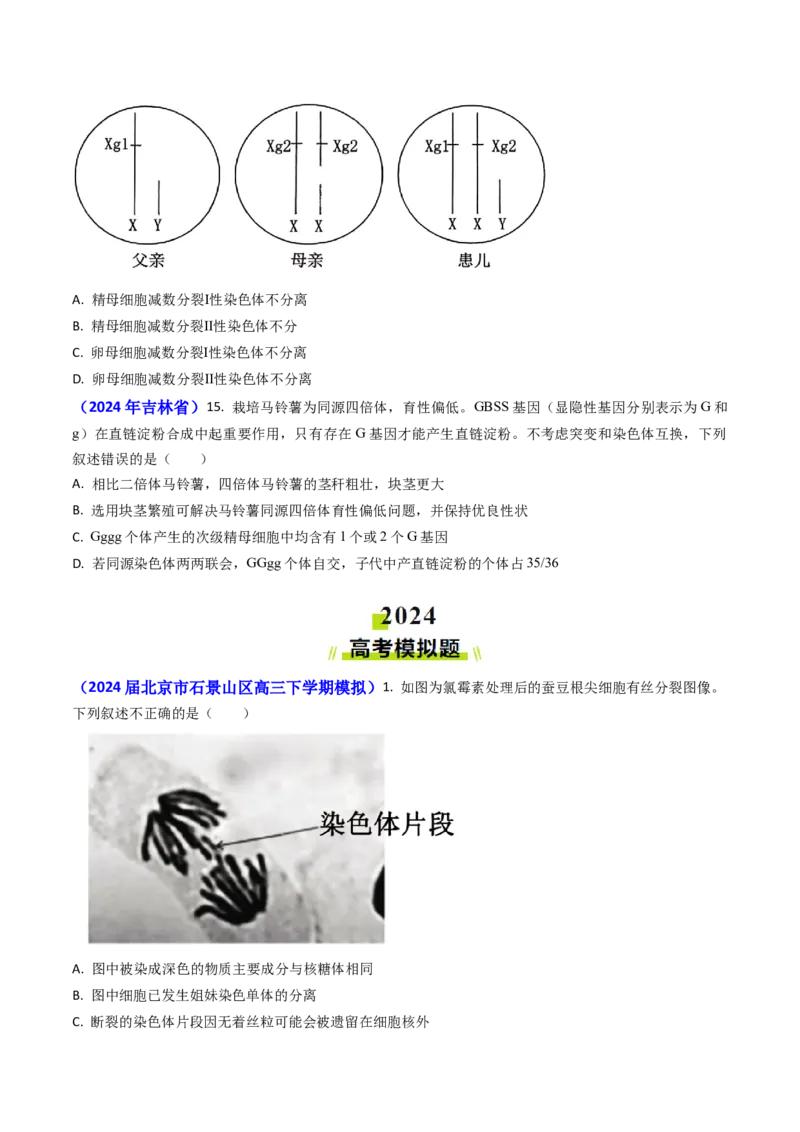 专题06细胞的增殖-2024年高考真题和模拟题生物分类汇编(学生卷）_近10年高考真题汇编（必刷）_十年（2014-2024）高考生物真题分项汇编（全国通用）