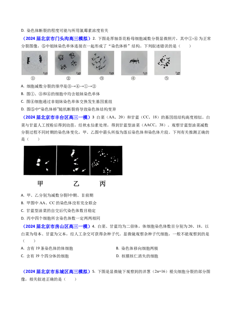 专题06细胞的增殖-2024年高考真题和模拟题生物分类汇编(学生卷）_近10年高考真题汇编（必刷）_十年（2014-2024）高考生物真题分项汇编（全国通用）