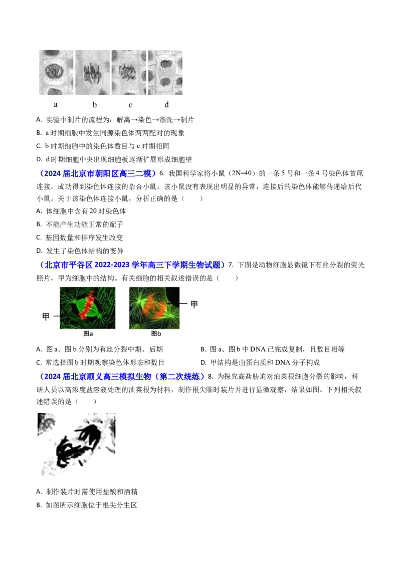 专题06细胞的增殖-2024年高考真题和模拟题生物分类汇编(学生卷）_近10年高考真题汇编（必刷）_十年（2014-2024）高考生物真题分项汇编（全国通用）