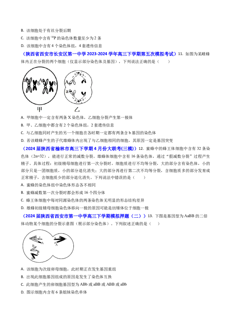 专题06细胞的增殖-2024年高考真题和模拟题生物分类汇编(学生卷）_近10年高考真题汇编（必刷）_十年（2014-2024）高考生物真题分项汇编（全国通用）