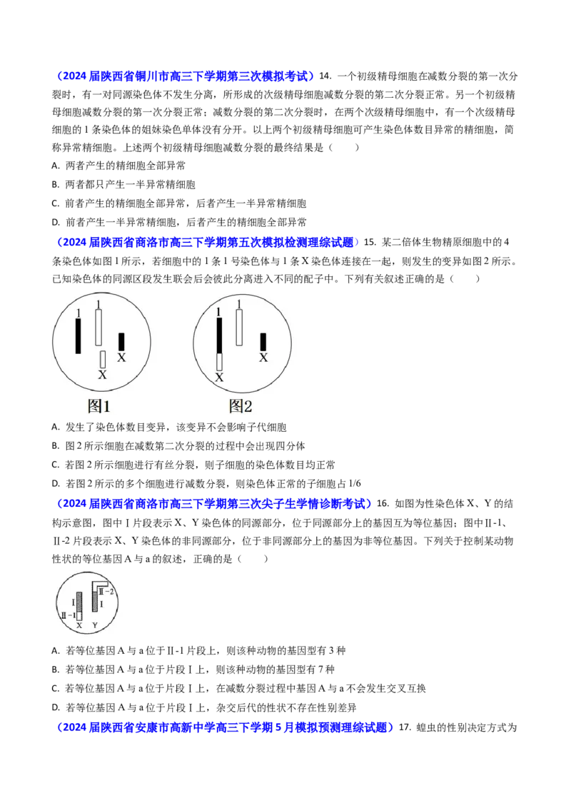 专题06细胞的增殖-2024年高考真题和模拟题生物分类汇编(学生卷）_近10年高考真题汇编（必刷）_十年（2014-2024）高考生物真题分项汇编（全国通用）