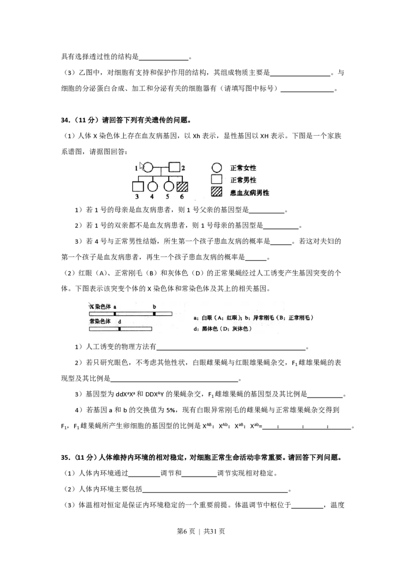 2008年高考生物试卷（上海）（解析卷）_生物历年高考真题_新&middot;PDF版2008-2025&middot;高考生物真题_生物（按年份分类）2008-2025_2008&middot;高考生物真题