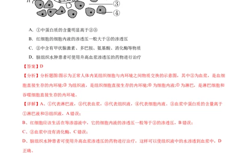 高二生物第一次月考卷（新八省通用）（全解全析）(1)_1多考区联考_0920（新八省专用）黄金卷：2024-2025学年高二上学期第一次月考（含答题卡word解析版）