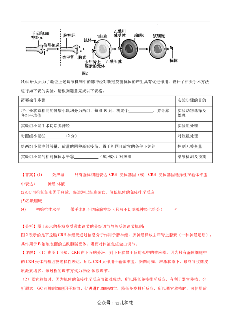 高二生物第一次月考卷（新八省通用）（全解全析）(1)_1多考区联考_0920（新八省专用）黄金卷：2024-2025学年高二上学期第一次月考（含答题卡word解析版）