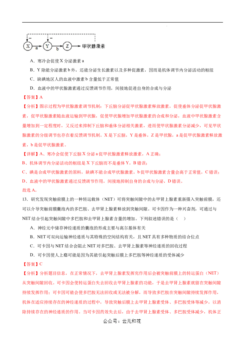 高二生物第一次月考卷（新八省通用）（全解全析）(1)_1多考区联考_0920（新八省专用）黄金卷：2024-2025学年高二上学期第一次月考（含答题卡word解析版）