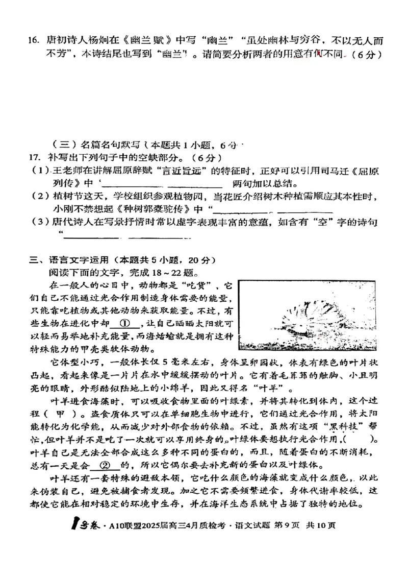 语文试题_2025年4月_250418安徽省A10联盟2025届高三4月质检考