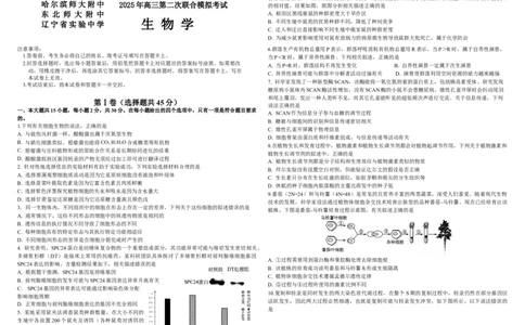 生物二模B4_2025年4月_250403东北三省三校2025届高三第二次联合模拟考试（哈师大附中、东师大附中、辽宁省实验中学）（全科）