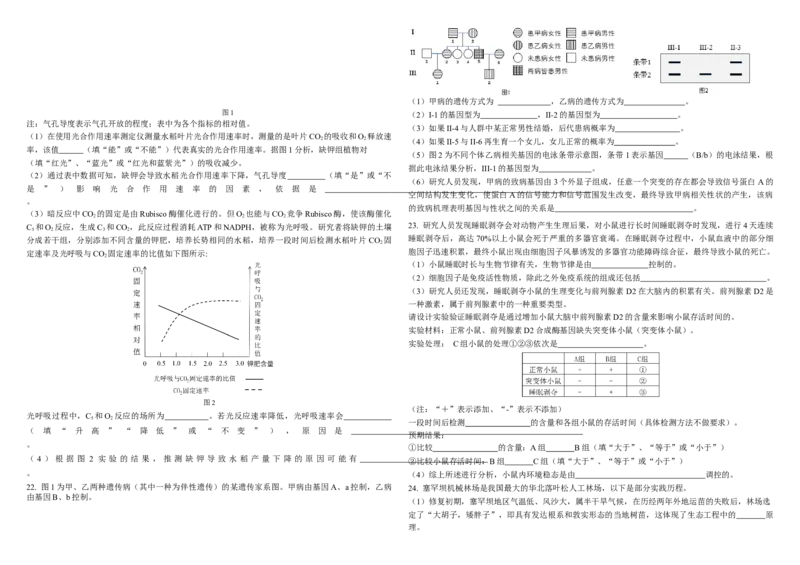 生物二模B4_2025年4月_250403东北三省三校2025届高三第二次联合模拟考试（哈师大附中、东师大附中、辽宁省实验中学）（全科）