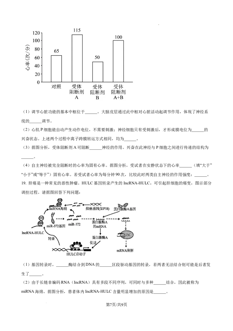山西省太原市山西大学附属中学2025-2026学年高三上学期10月考试生物试题（原卷版）_2025年10月_山西省太原市山西大学附属中学校2025-2026学年高三上学期10月模块诊断（总第四次）生物