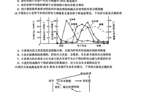 江苏省镇江市2024-2025学年高三下学期开学考试生物试题_2025年2月_250225江苏省镇江市2024-2025学年高三下学期期初质量监测_江苏省镇江市2024-2025学年高三下学期期初质量监测生物学