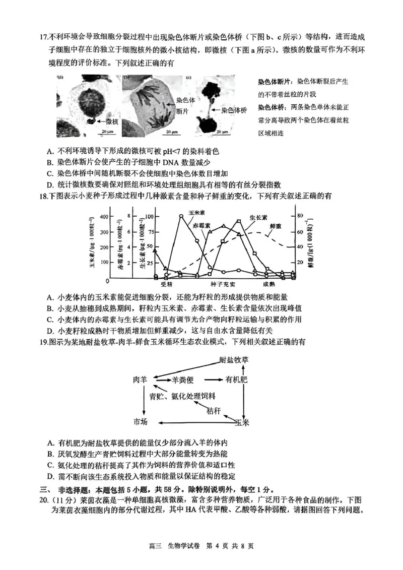江苏省镇江市2024-2025学年高三下学期开学考试生物试题_2025年2月_250225江苏省镇江市2024-2025学年高三下学期期初质量监测_江苏省镇江市2024-2025学年高三下学期期初质量监测生物学