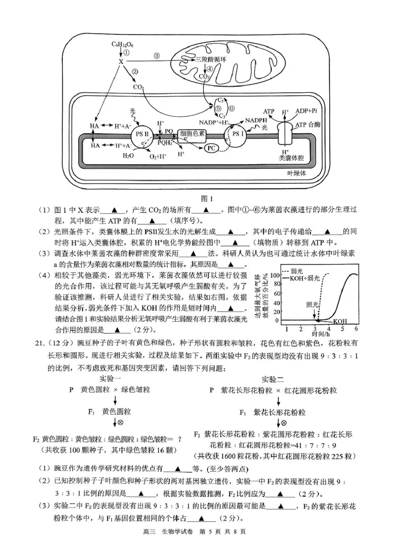 江苏省镇江市2024-2025学年高三下学期开学考试生物试题_2025年2月_250225江苏省镇江市2024-2025学年高三下学期期初质量监测_江苏省镇江市2024-2025学年高三下学期期初质量监测生物学
