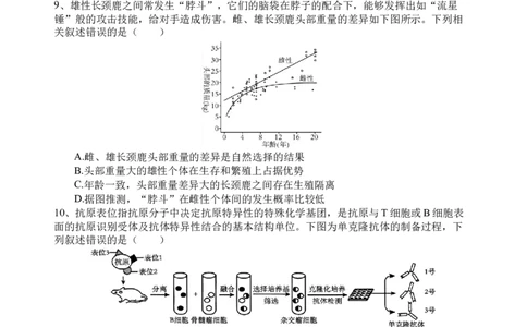 生物试题_2025年3月_250313四川省射洪中学2025届高三下学期3月二模_四川省射洪中学2025届高三下学期3月二模试题生物Word版含答案
