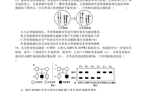 生物试题_2025年3月_250313四川省射洪中学2025届高三下学期3月二模_四川省射洪中学2025届高三下学期3月二模试题生物Word版含答案