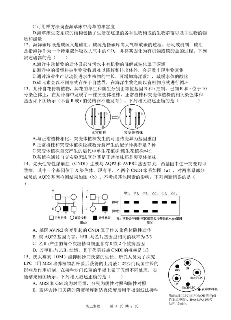 生物试题_2025年3月_250313四川省射洪中学2025届高三下学期3月二模_四川省射洪中学2025届高三下学期3月二模试题生物Word版含答案