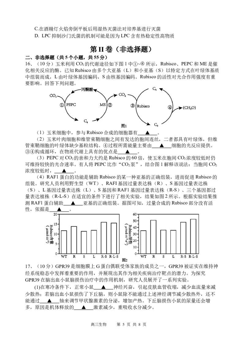 生物试题_2025年3月_250313四川省射洪中学2025届高三下学期3月二模_四川省射洪中学2025届高三下学期3月二模试题生物Word版含答案
