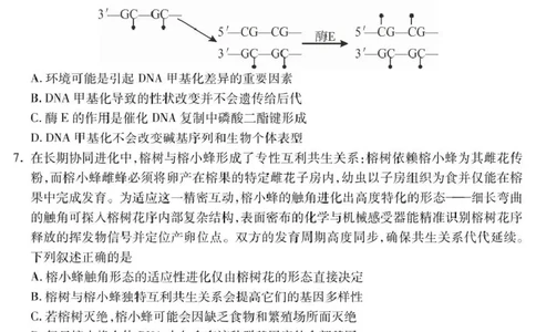 四川省乐山市2025届高三下学期第三次调查研究考试生物试卷（含答案）_2025年5月_250512四川省乐山市2025届高三下学期第三次调查研究考试（全科）