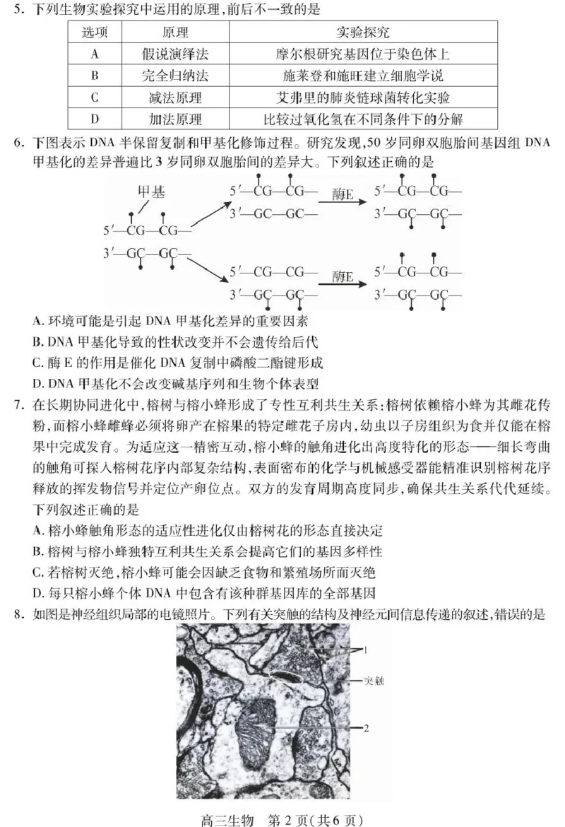 四川省乐山市2025届高三下学期第三次调查研究考试生物试卷（含答案）_2025年5月_250512四川省乐山市2025届高三下学期第三次调查研究考试（全科）