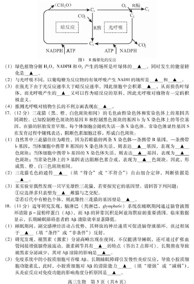四川省乐山市2025届高三下学期第三次调查研究考试生物试卷（含答案）_2025年5月_250512四川省乐山市2025届高三下学期第三次调查研究考试（全科）