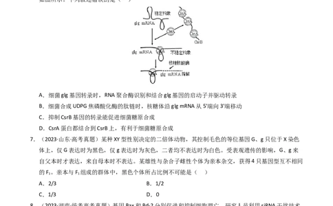 专题06遗传的分子基础（学生卷）_近10年高考真题汇编（必刷）_十年（2014-2024）高考生物真题分项汇编（全国通用）_2023年高考真题和模拟题生物分项汇编（全国通用）