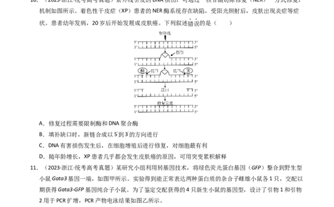 专题06遗传的分子基础（学生卷）_近10年高考真题汇编（必刷）_十年（2014-2024）高考生物真题分项汇编（全国通用）_2023年高考真题和模拟题生物分项汇编（全国通用）