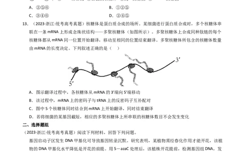 专题06遗传的分子基础（学生卷）_近10年高考真题汇编（必刷）_十年（2014-2024）高考生物真题分项汇编（全国通用）_2023年高考真题和模拟题生物分项汇编（全国通用）