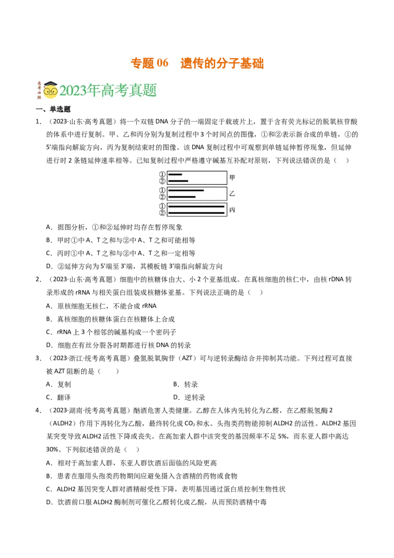 专题06遗传的分子基础（学生卷）_近10年高考真题汇编（必刷）_十年（2014-2024）高考生物真题分项汇编（全国通用）_2023年高考真题和模拟题生物分项汇编（全国通用）