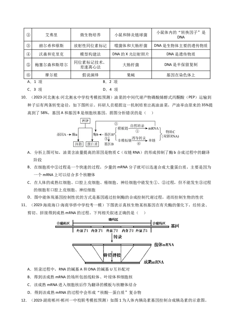 专题06遗传的分子基础（学生卷）_近10年高考真题汇编（必刷）_十年（2014-2024）高考生物真题分项汇编（全国通用）_2023年高考真题和模拟题生物分项汇编（全国通用）