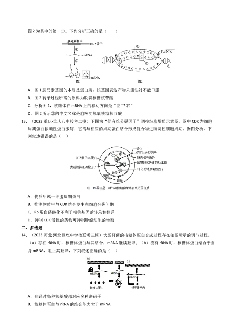 专题06遗传的分子基础（学生卷）_近10年高考真题汇编（必刷）_十年（2014-2024）高考生物真题分项汇编（全国通用）_2023年高考真题和模拟题生物分项汇编（全国通用）