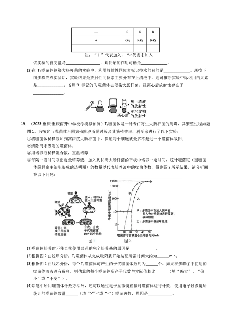 专题06遗传的分子基础（学生卷）_近10年高考真题汇编（必刷）_十年（2014-2024）高考生物真题分项汇编（全国通用）_2023年高考真题和模拟题生物分项汇编（全国通用）