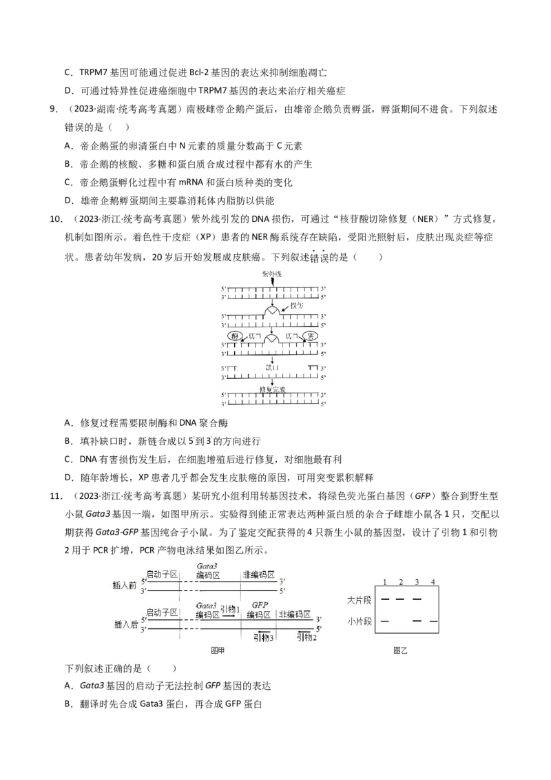 专题06遗传的分子基础（学生卷）_近10年高考真题汇编（必刷）_十年（2014-2024）高考生物真题分项汇编（全国通用）_2023年高考真题和模拟题生物分项汇编（全国通用）