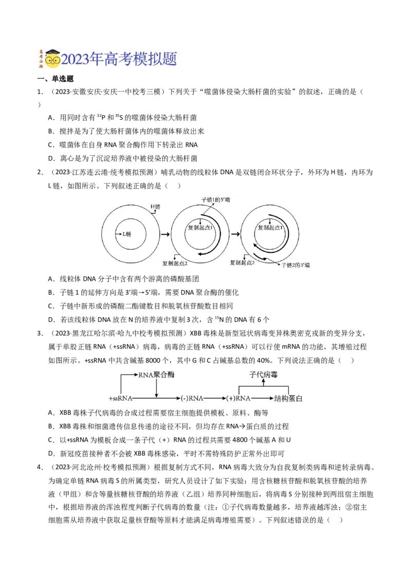 专题06遗传的分子基础（学生卷）_近10年高考真题汇编（必刷）_十年（2014-2024）高考生物真题分项汇编（全国通用）_2023年高考真题和模拟题生物分项汇编（全国通用）
