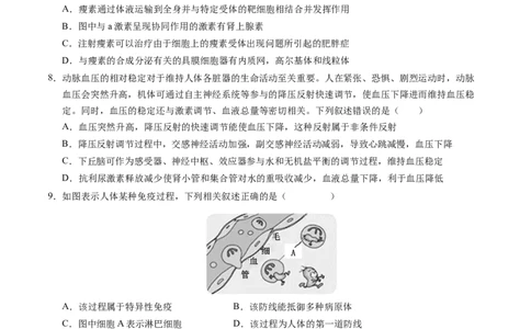 高二生物期中模拟卷02测试范围：人教版2019选必1全册（考试版A4）（新高考通用）(1)_1多考区联考_1014高二期中模拟卷（新高考通用）黄金卷：2024-2025学年高二上学期期中模拟考试