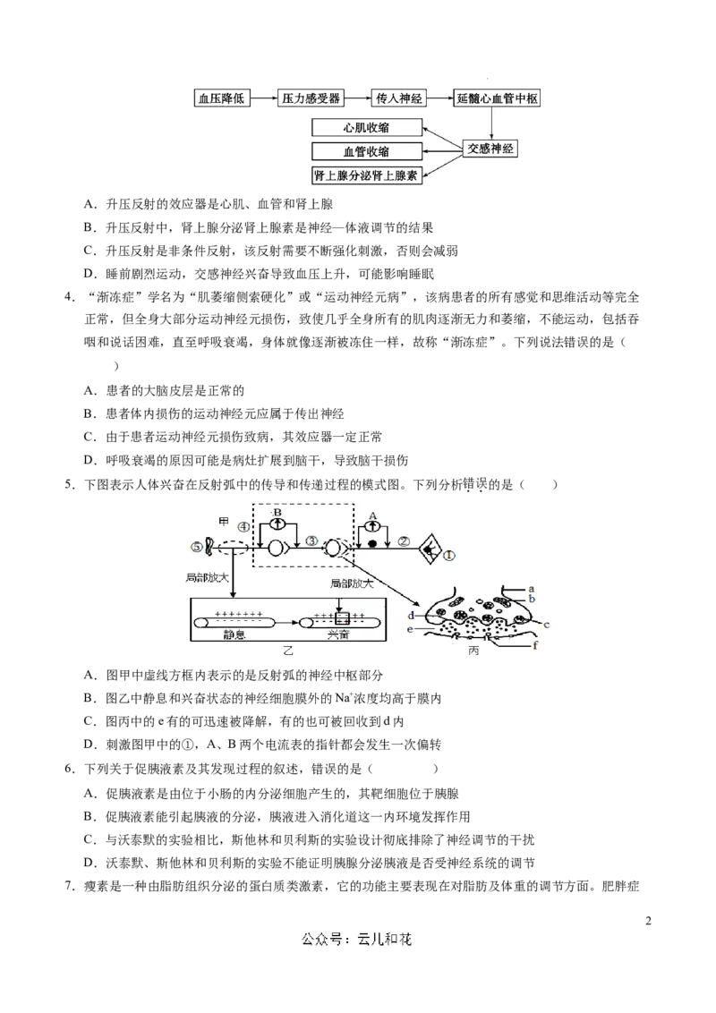 高二生物期中模拟卷02测试范围：人教版2019选必1全册（考试版A4）（新高考通用）(1)_1多考区联考_1014高二期中模拟卷（新高考通用）黄金卷：2024-2025学年高二上学期期中模拟考试