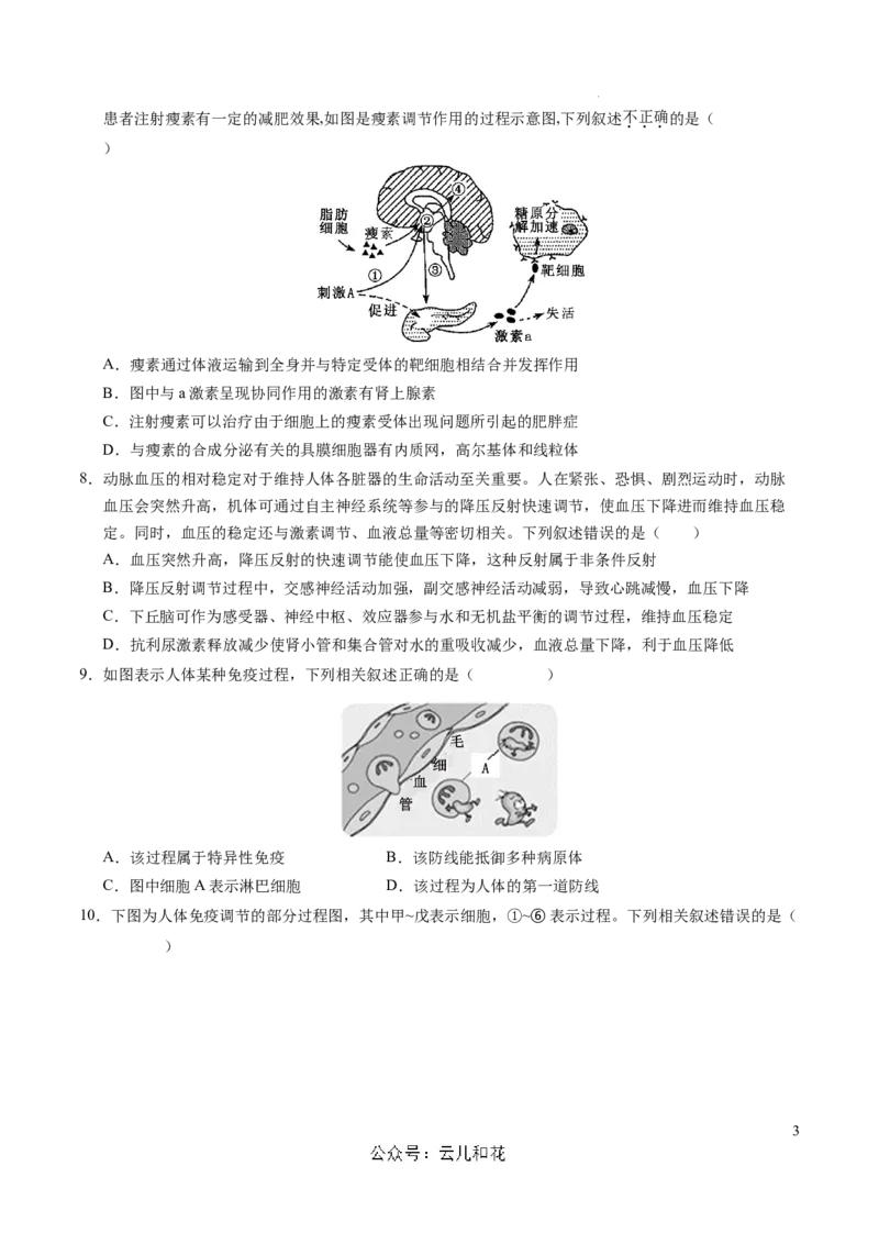 高二生物期中模拟卷02测试范围：人教版2019选必1全册（考试版A4）（新高考通用）(1)_1多考区联考_1014高二期中模拟卷（新高考通用）黄金卷：2024-2025学年高二上学期期中模拟考试