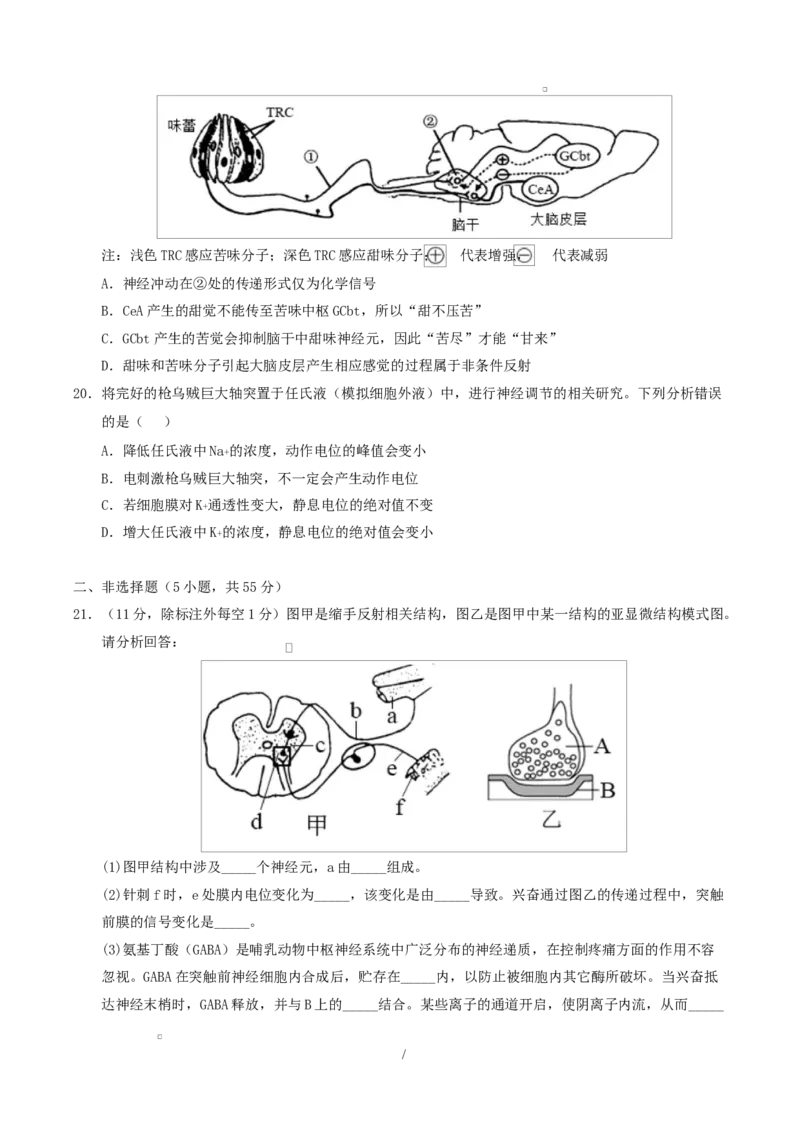 高二生物第一次月考卷不定项版测试范围：人教版2019选择性必修1第1章~第2章（考试版）_1多考区联考试卷_2510142025-2026学年高二生物上学期第一次月考试题