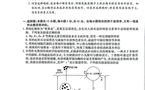 安徽省滁州市2024-2025学年高三下学期第一次教学质量检测生物学试题（含答案）_2025年2月_250228安徽省滁州市2025届高三下学期第一次教学质量监测