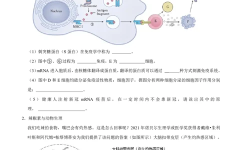 2024上海生物等级考考前必刷信息卷3含解析_2024高考押题卷_62024学科网全系列_2024年高考考前信息必刷卷_（上海）信息必刷卷_2024上海生物等级考考前必刷信息卷（1-5）