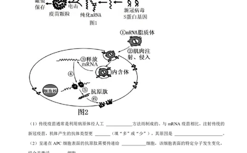2024上海生物等级考考前必刷信息卷3含解析_2024高考押题卷_62024学科网全系列_2024年高考考前信息必刷卷_（上海）信息必刷卷_2024上海生物等级考考前必刷信息卷（1-5）