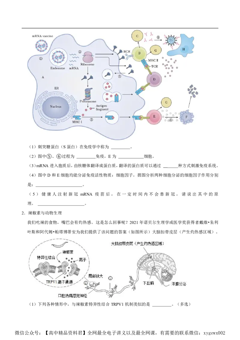 2024上海生物等级考考前必刷信息卷3含解析_2024高考押题卷_62024学科网全系列_2024年高考考前信息必刷卷_（上海）信息必刷卷_2024上海生物等级考考前必刷信息卷（1-5）