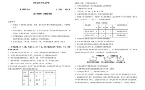 吉林省长春市东北师范大学附属中学2025-2026学年高三上学期第一次摸底考试生物试题_2025年10月