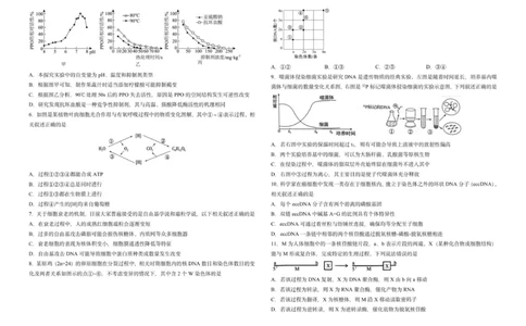 吉林省长春市东北师范大学附属中学2025-2026学年高三上学期第一次摸底考试生物试题_2025年10月