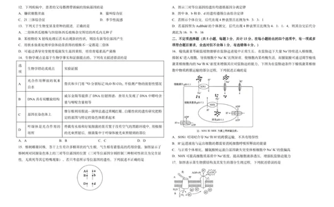 吉林省长春市东北师范大学附属中学2025-2026学年高三上学期第一次摸底考试生物试题_2025年10月